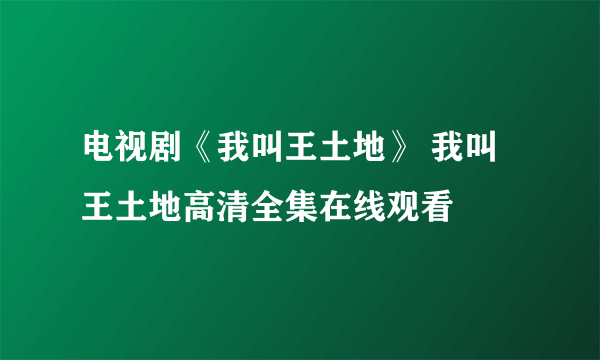 电视剧《我叫王土地》 我叫王土地高清全集在线观看