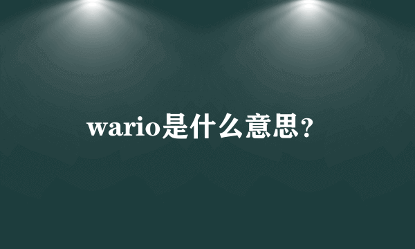 wario是什么意思？