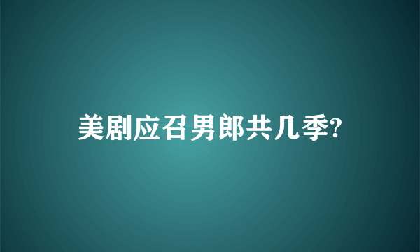 美剧应召男郎共几季?