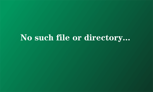 No such file or directory怎么解决