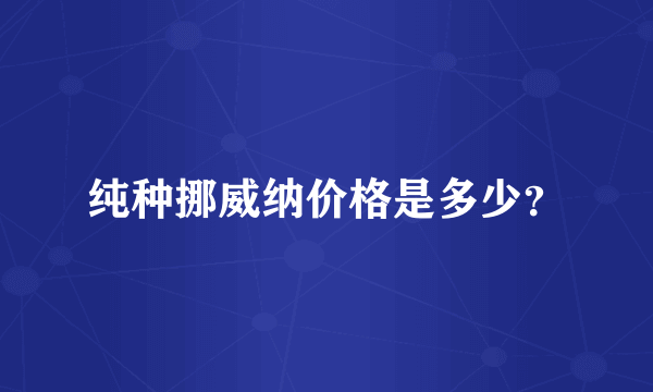 纯种挪威纳价格是多少？