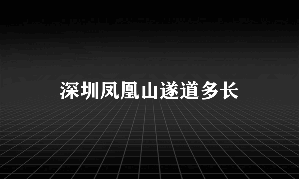 深圳凤凰山遂道多长