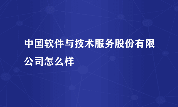 中国软件与技术服务股份有限公司怎么样