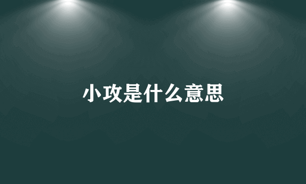 小攻是什么意思