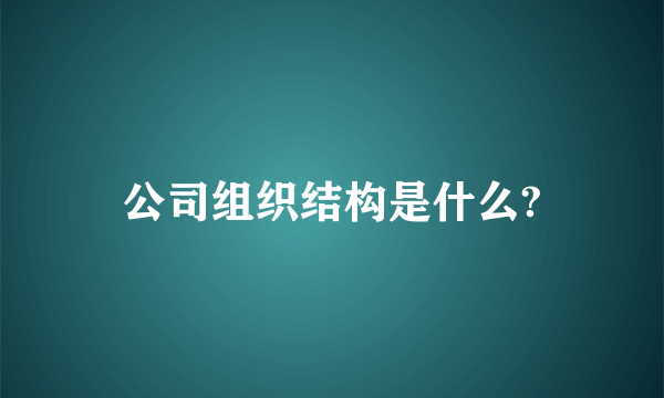 公司组织结构是什么?