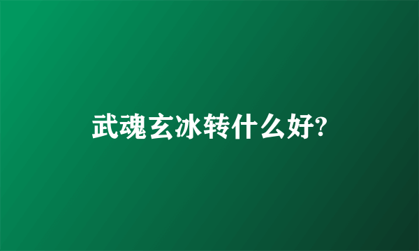 武魂玄冰转什么好?