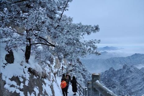 河南都有哪些景区飘起鹅毛大雪？