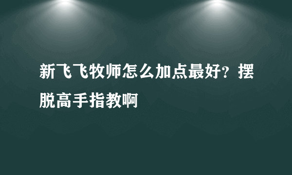 新飞飞牧师怎么加点最好？摆脱高手指教啊