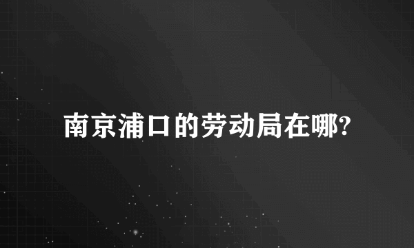 南京浦口的劳动局在哪?