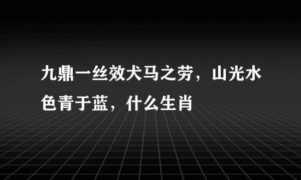 九鼎一丝效犬马之劳，山光水色青于蓝，什么生肖