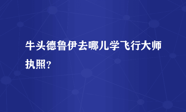 牛头德鲁伊去哪儿学飞行大师执照？