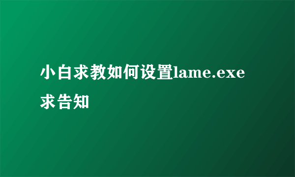 小白求教如何设置lame.exe求告知