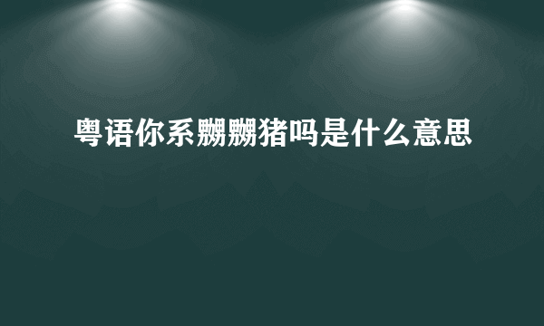 粤语你系嬲嬲猪吗是什么意思