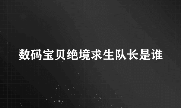 数码宝贝绝境求生队长是谁