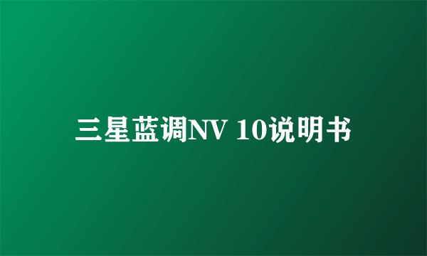 三星蓝调NV 10说明书