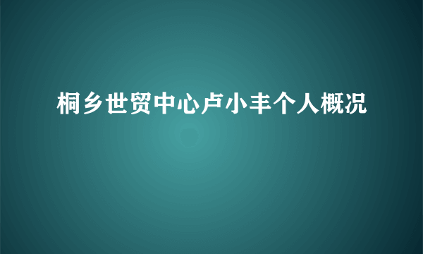 桐乡世贸中心卢小丰个人概况