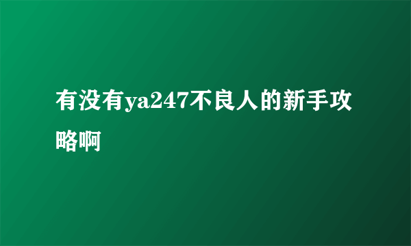 有没有ya247不良人的新手攻略啊