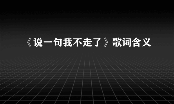 《说一句我不走了》歌词含义