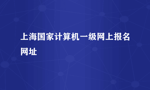 上海国家计算机一级网上报名网址