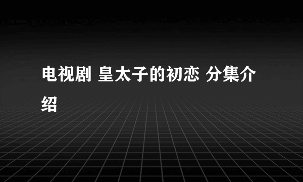 电视剧 皇太子的初恋 分集介绍