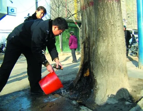 南京路边42度引树自燃烧断树根，高温天气将会持续多久？