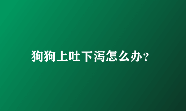 狗狗上吐下泻怎么办？