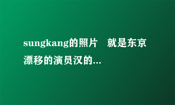 sungkang的照片   就是东京漂移的演员汉的名字和照片  越详细越好