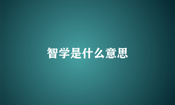 智学是什么意思