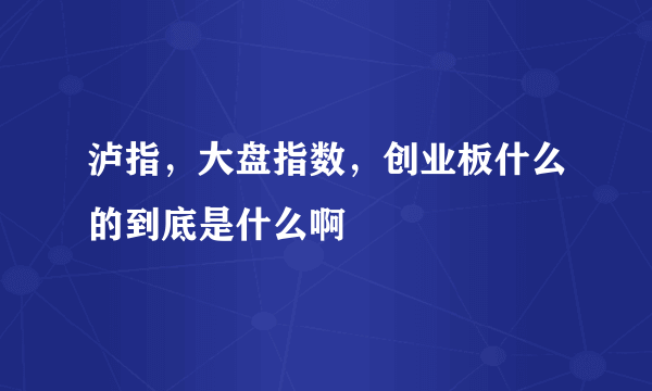 泸指，大盘指数，创业板什么的到底是什么啊