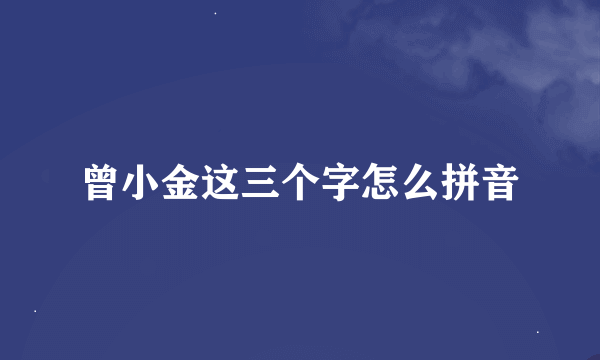 曾小金这三个字怎么拼音