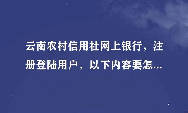 云南农村信用社网上银行，注册登陆用户，以下内容要怎么填写？（网银登陆名要输入什么，身份证号，手机号