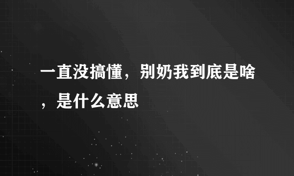 一直没搞懂，别奶我到底是啥，是什么意思