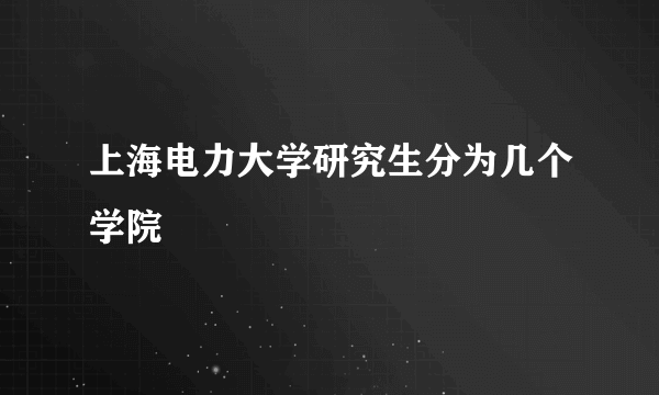 上海电力大学研究生分为几个学院