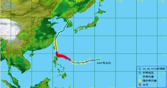 台风蒲公英的介绍