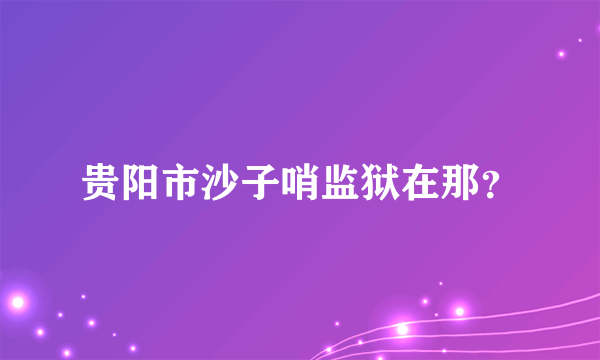 贵阳市沙子哨监狱在那？