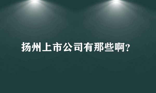 扬州上市公司有那些啊？