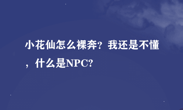 小花仙怎么裸奔？我还是不懂，什么是NPC?