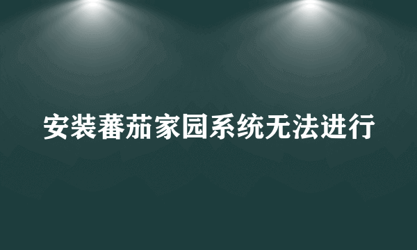 安装蕃茄家园系统无法进行