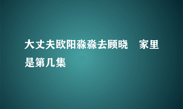 大丈夫欧阳淼淼去顾晓珺家里是第几集