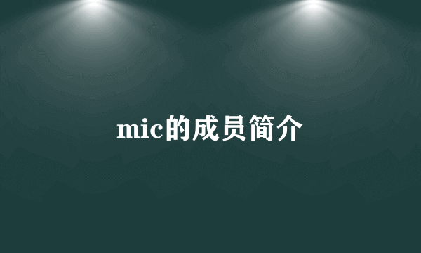 mic的成员简介