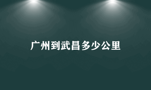 广州到武昌多少公里