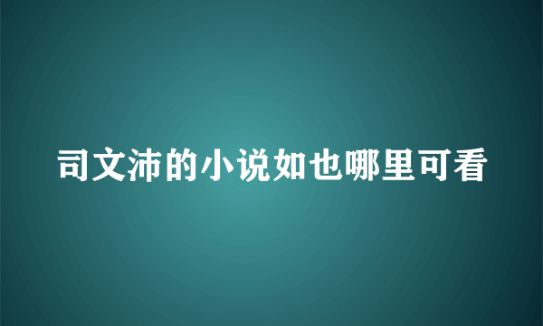 司文沛的小说如也哪里可看