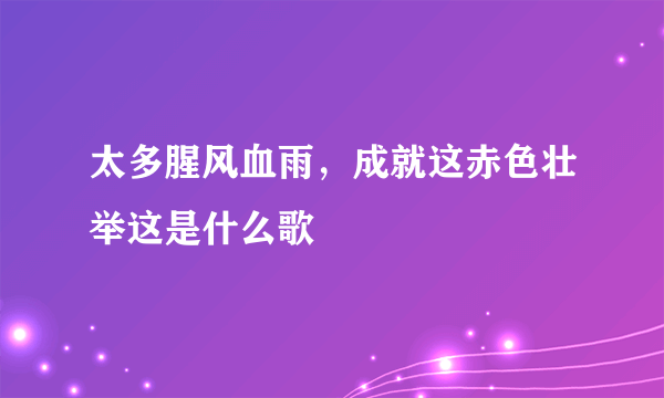 太多腥风血雨，成就这赤色壮举这是什么歌