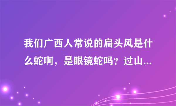 我们广西人常说的扁头风是什么蛇啊，是眼镜蛇吗？过山风是不是就是眼镜王蛇