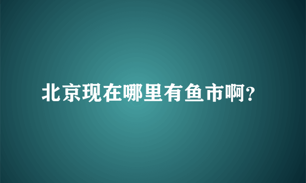 北京现在哪里有鱼市啊？