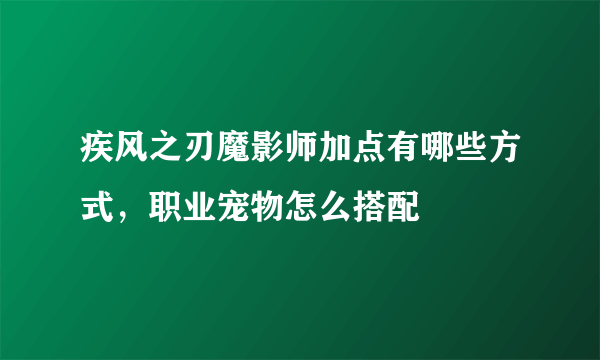 疾风之刃魔影师加点有哪些方式，职业宠物怎么搭配