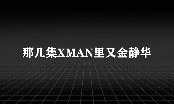 那几集XMAN里又金静华