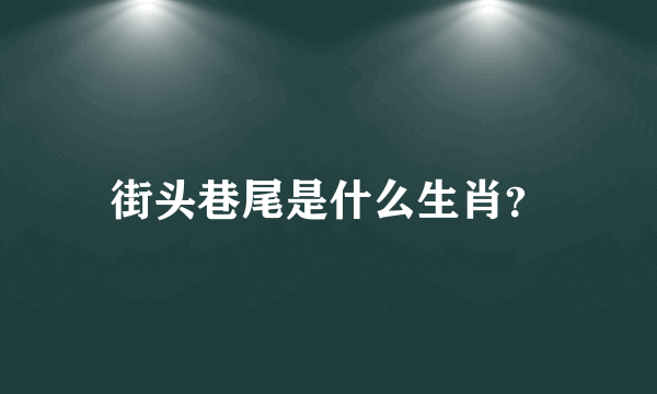 街头巷尾是什么生肖？