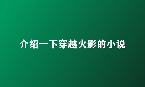 介绍一下穿越火影的小说