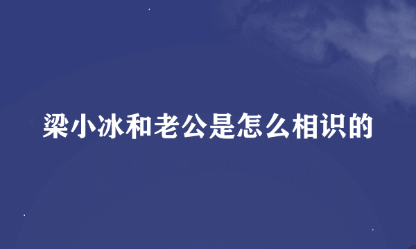 梁小冰和老公是怎么相识的